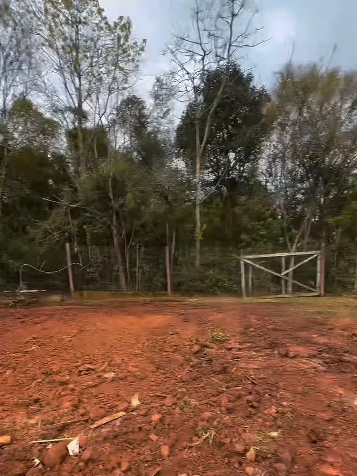 Depois: terreno limpo e nivelado, pronto para a obra